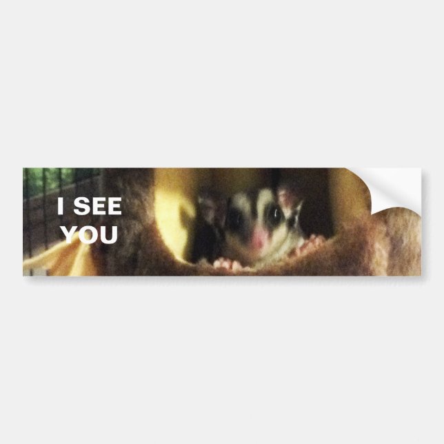 Sugar Glider in Furry Tree Truck Hanging Bed Bumper Sticker (Front)