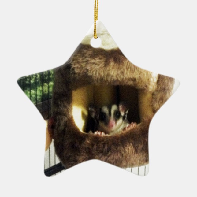 Sugar Glider in Furry Tree Truck Hanging Bed Ceramic Tree Decoration (Front)
