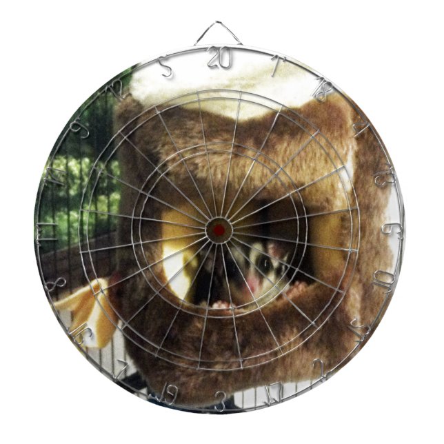 Sugar Glider in Furry Tree Truck Hanging Bed Dartboard (Front)