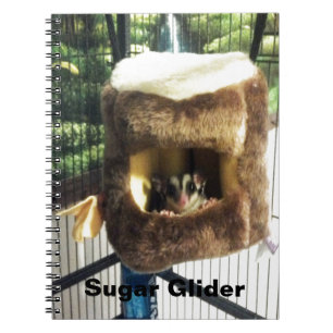 Sugar Glider in Furry Tree Truck Hanging Bed Spiral Notebook