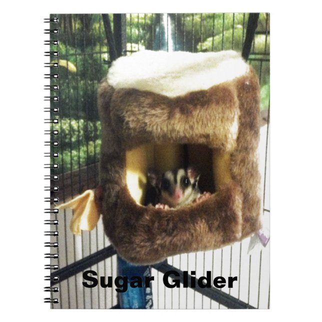 Sugar Glider in Furry Tree Truck Hanging Bed Spiral Notebook (Front)