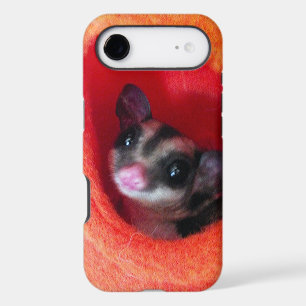 Sugar Glider in Orange Hanging Bed