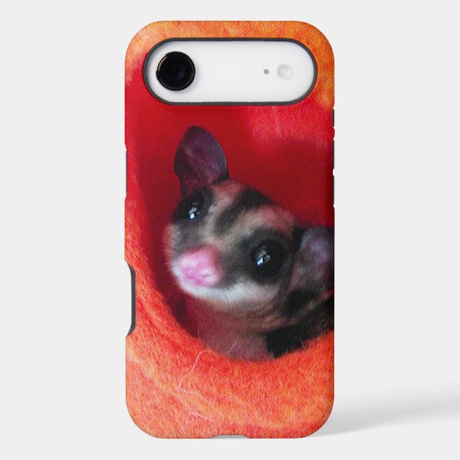 Sugar Glider in Orange Hanging Bed (Back)