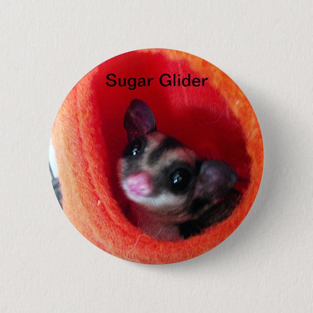 Sugar Glider in Orange Hanging Bed 6 Cm Round Badge (Front)