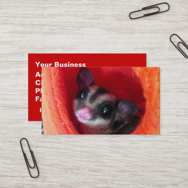 Sugar Glider in Orange Hanging Bed Business Card (Front/Back In Situ)