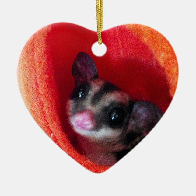 Sugar Glider in Orange Hanging Bed Ceramic Tree Decoration (Front)