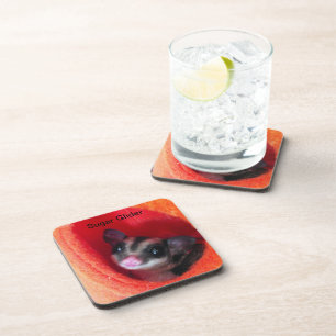 Sugar Glider in Orange Hanging Bed Coaster