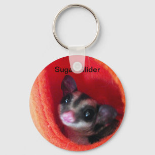 Sugar Glider in Orange Hanging Bed Key Ring