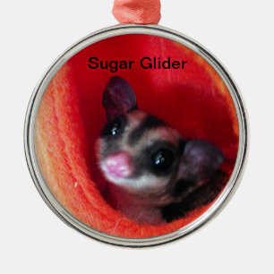 Sugar Glider in Orange Hanging Bed Metal Tree Decoration