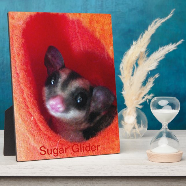 Sugar Glider in Orange Hanging Bed Plaque (Side)