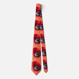 Sugar Glider in Orange Hanging Bed Tie