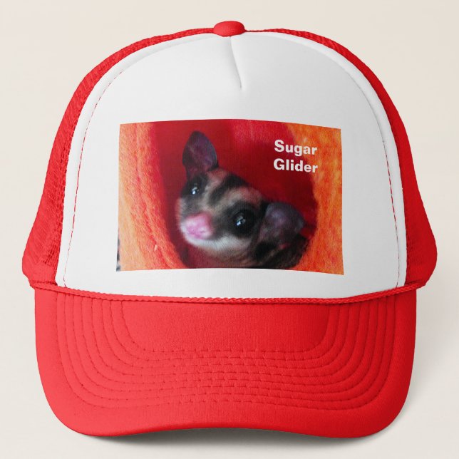 Sugar Glider in Orange Hanging Bed Trucker Hat (Front)