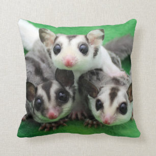 Sugar Glider Joey Trio Cushion