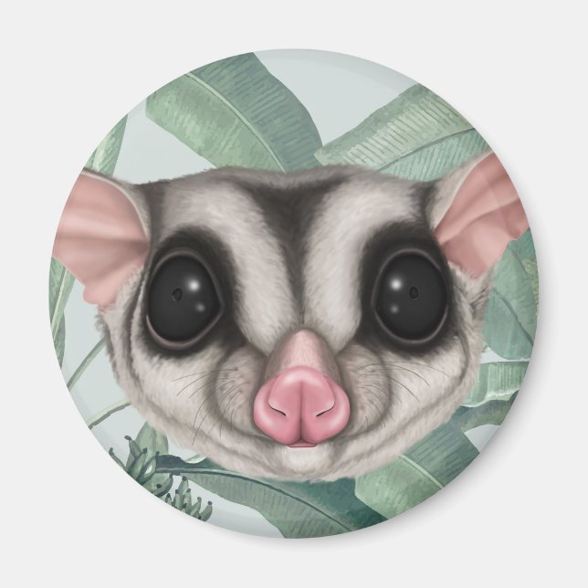 Sugar Glider Magnet (Front)
