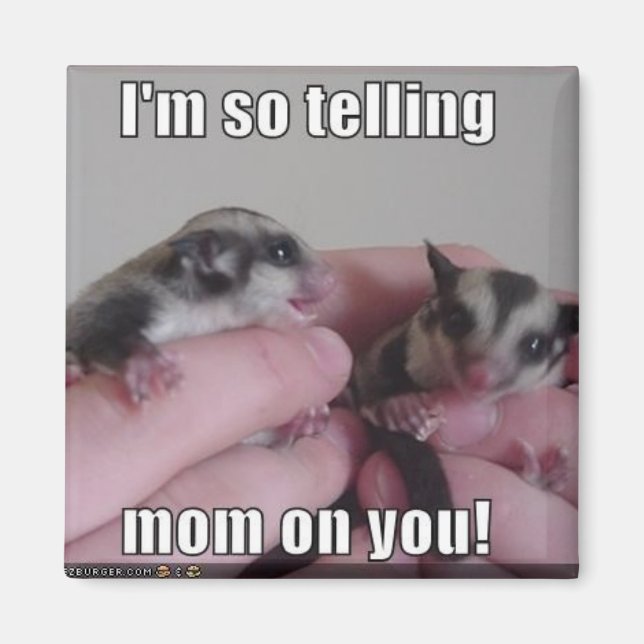 sugar glider magnet (Front)