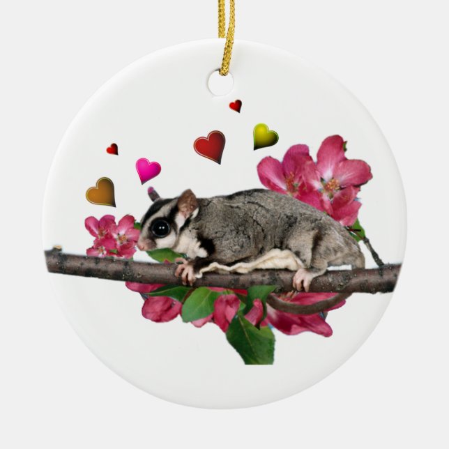 Sugar Glider Ornaments (Front)