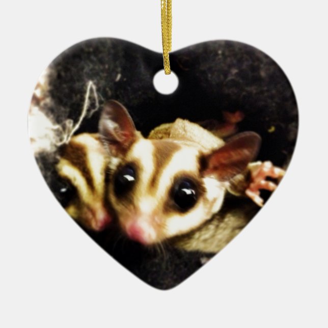 sugar glider photo design ceramic tree decoration (Front)