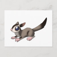Sugar Glider