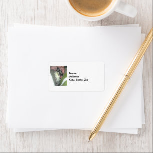 Sugar Glider Sleeping in Blanket Return Address Label