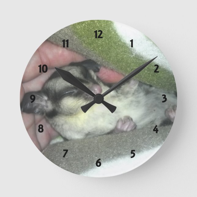 Sugar Glider Sleeping in Blanket Round Clock (Front)
