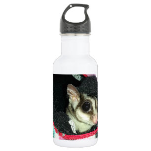 Sugar Glider Wearing a Hat 532 Ml Water Bottle