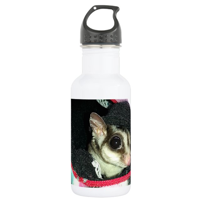 Sugar Glider Wearing a Hat 532 Ml Water Bottle (Front)