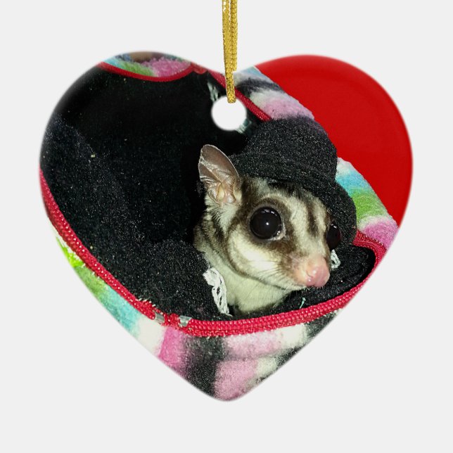 Sugar Glider Wearing a Hat Ceramic Tree Decoration (Front)