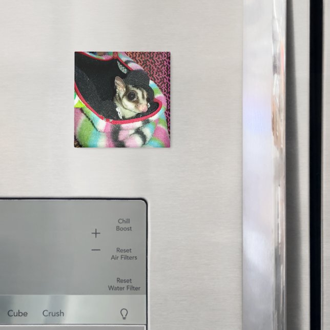 Sugar Glider Wearing a Hat Magnet (In Situ (Fridge))