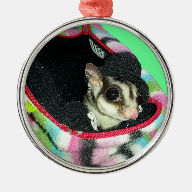 Sugar Glider Wearing a Hat Metal Tree Decoration (Front)