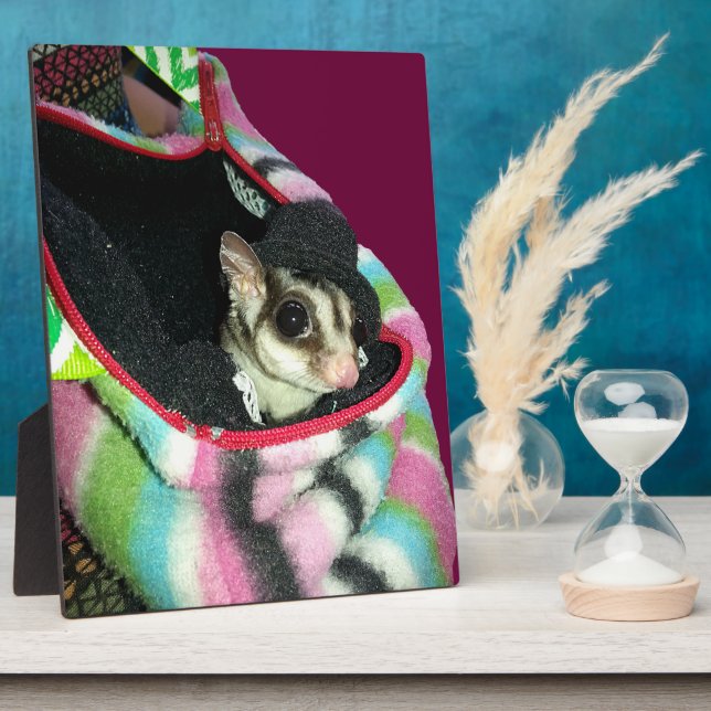 Sugar Glider Wearing a Hat Plaque (Side)