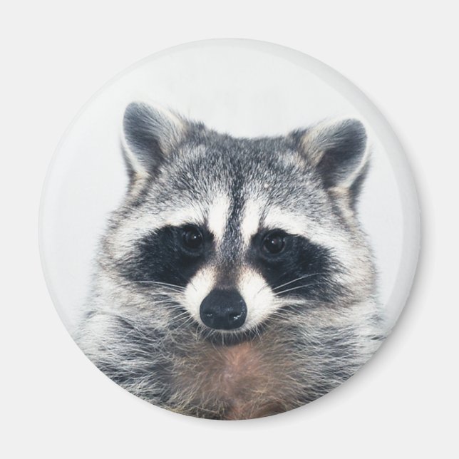 sugar magnet (Front)