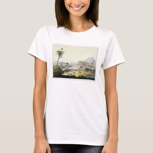 Sugar Plantation, Antilles (colour engraving) T-Shirt (Front)