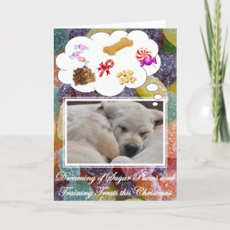 Sugar Plums and Training Treats card