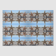 Sugar Starfish on the Beach Tissue Paper