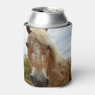 Sugar The Appaloosa Horse, Can Cooler