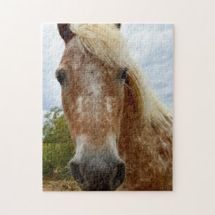 Sugar The Appaloosa Horse, Jigsaw Puzzle