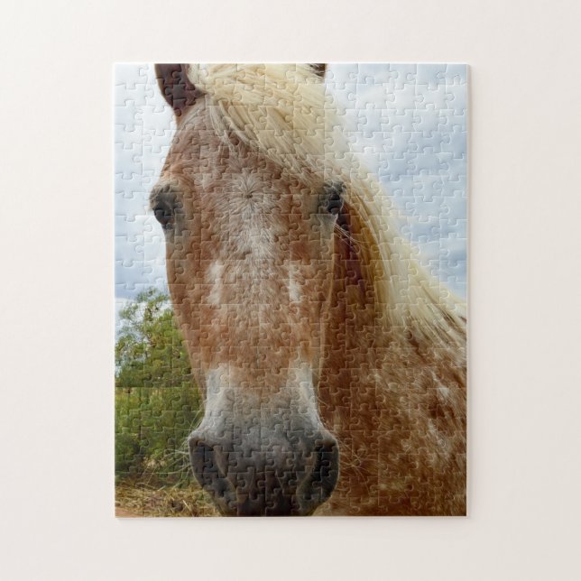 Sugar The Appaloosa Horse, Jigsaw Puzzle (Vertical)