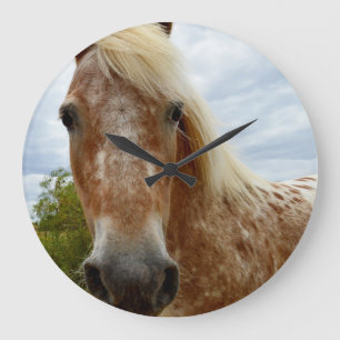 Sugar The Appaloosa Horse, Large Round Wall Clock. Clock