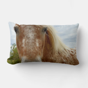 Sugar The Appaloosa Horse, Lumbar Cushion. Cushion