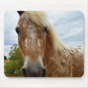 Sugar The Appaloosa Horse, Mousepad. Mouse Pad