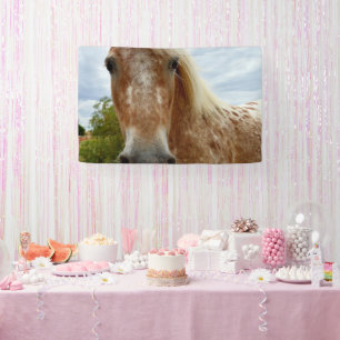 Sugar The Appaloosa Horse, Party Banner