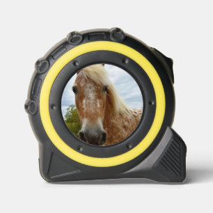 Sugar The Appaloosa Horse, Tape Measure 1