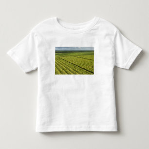 Sugarcane Plantations, Guyana Toddler T-Shirt