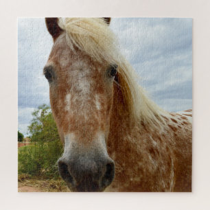 "Sugar's Stride: The Appaloosa's Grace" Jigsaw Puzzle