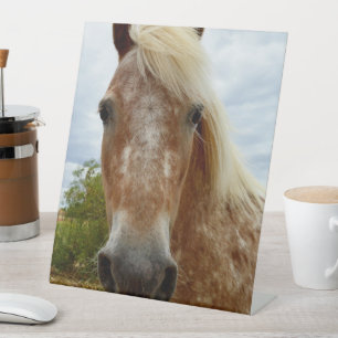 "Sugar's Stride: The Appaloosa's Grace" Pedestal Sign