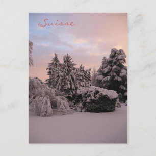 Suisse Postcard
