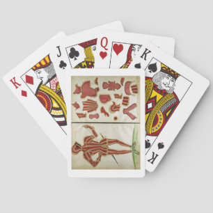 Suit of Armour for the Earl of Leicester from `An Playing Cards