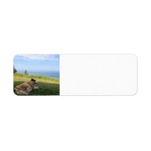 Suka Enjoying Cape George Address Labels