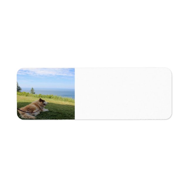 Suka Enjoying Cape George Address Labels (Front)