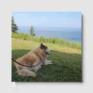 Suka Enjoying Cape George Guest Book